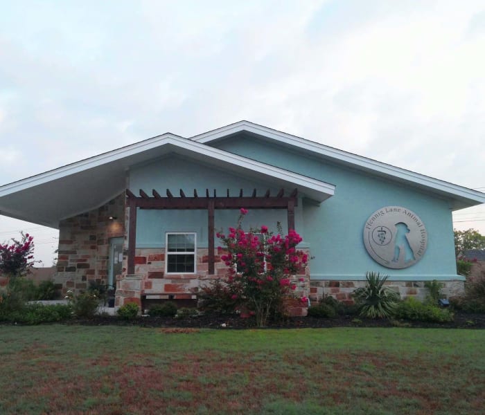 Pfennig Lane Animal Hospital in Pflugerville